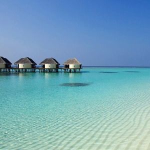 Meet your Posher, Jeannie